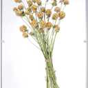 16x20 Acrylic Shadow Box, Assemble Display Case, DIY Tabletop/Wall Mount Display Frame, All Clear Memory Box for Dried Flowers/Kids Room/Birthday/Wedding(16x20x3, Assemble Frame)