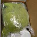 SQEQE Weighted Dinosaur Plush, Weighted Dinosaur Stuffed Animal, Dino Plushies Pillow Toy Gift for Kids Adults 13.8 Inch, 1.6 Lbs (Green)