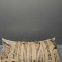 Happy Trees Coco Coir Loose Coconut Fiber Growing Medium, Potting Mix, Seed-Starting, Premium Quality, Triple-Washed for Low Salt/EC, pH Balanced, Peat-Free, OMRI Organic, 50L (1.8 cu.ft.)