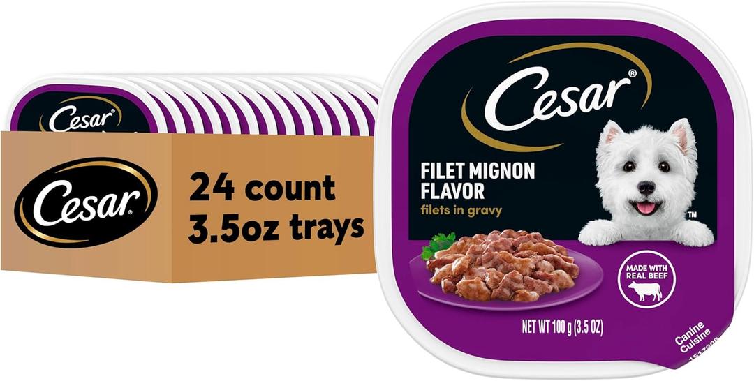 Cesar Filets in Gravy Adult Wet Dog Food, Filet Mignon Flavor, 3.5 oz. (24 Count, Pack of 1)