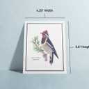 Twigs Paper - Assorted American Birds Greeting Cards - Stationery Cards with Envelopes - Thank You Card - Blank Note Cards - Greeting Cards for All Occasions - Made in USA (5.5 x 4.25, Set of 12)