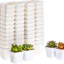 BangQiao 100 Pack 2.55 Inch Small White Plastic Square Nursery and Seedling Pot with Drain Hole for Germination, Cactus, Herb, Succulent