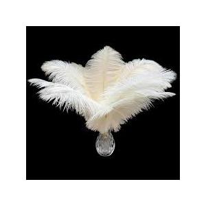  White Feather for Wedding Party Centerpieces Home Decoration Artificial, 2 Pack