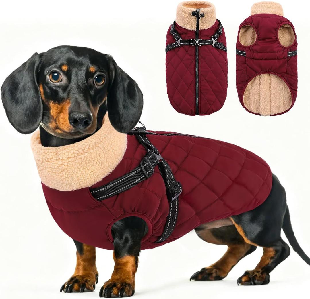 Queenmore Dog Coat, Dog Coats for Small Dogs, Doggy Winter Jacket with Zipper On Back, Waterproof Pet Jacket with Harness Built in, Pet Puffer Coat for Bichon, Schnauzer, Yorkie, Burgundy Small