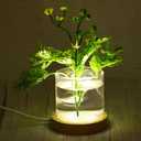 PATIKIL Wooden LED Light Base Stand, 2 Packs Round Wooden 4.72" Dia 3-Colored Light Dimmable Display Pedestals for Crystal Glass Art Decorations, Wood Color