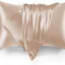 Love's cabin Satin Pillowcase Set of 2 Queen Size 20x30, Cooling Pillow Covers for Hair and Skin, Silky Smooth with Envelope Closure, Similar to Silk, Taupe