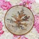 TLESKE Vintage Fall Oak Leaf Round Wall Art Decor Framed 10x10, Rustic Autumn Botanical Canvas Wall Art Prints Artwork, Neutral Beige Wall Hanging Room Door Decor Decorations for Bedroom Living Room