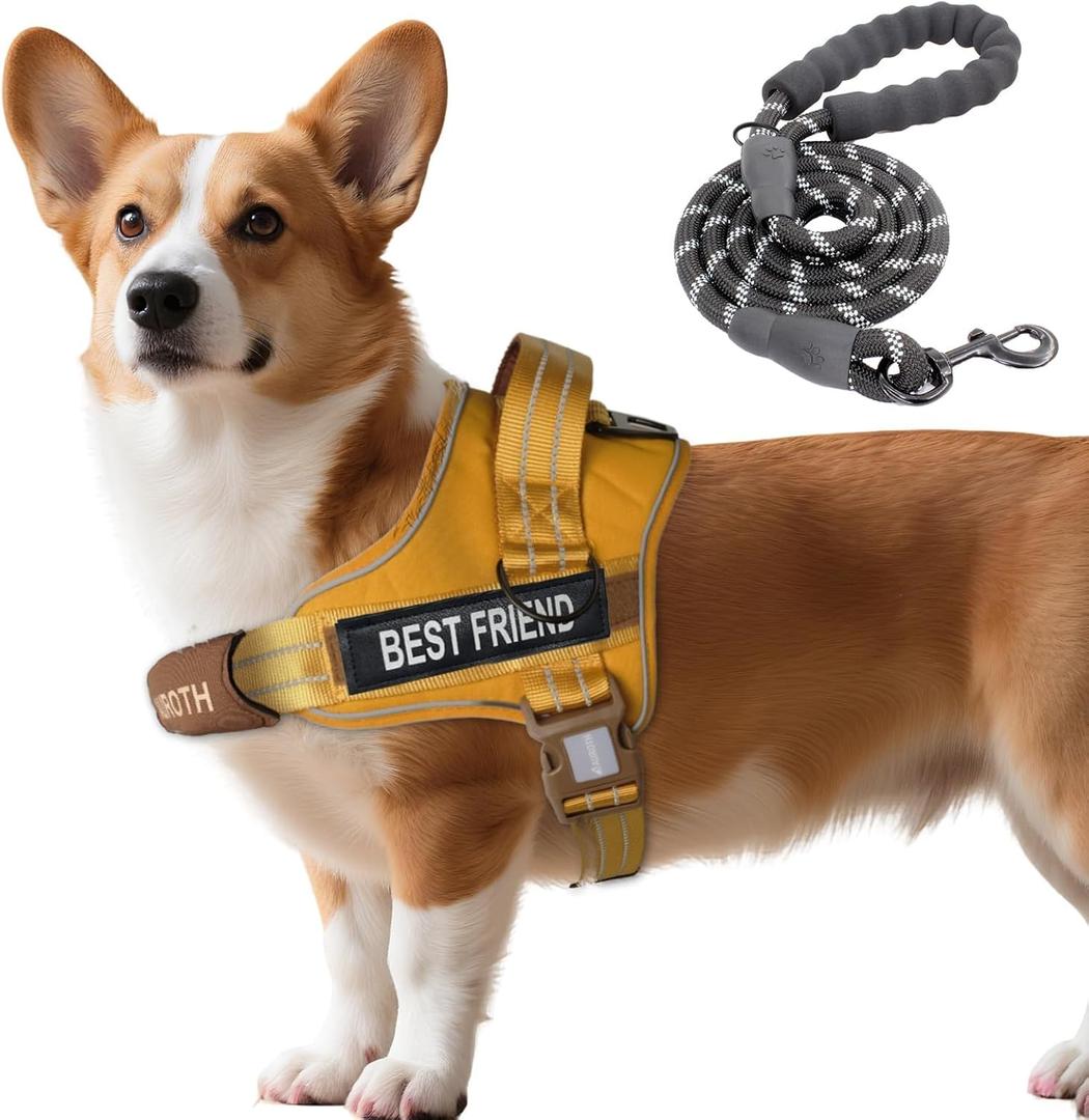 AUROTH Dog Harness and Leash Set, Soft Padded Service Dog Vest with 5.25FT Dog Leash, No Choke, Easy On Pet Vest, Adjustable Reflective No Pull Dog Harness Small Sized Dog, Easy Walking and Training
