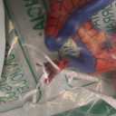 Hallmark Marvel Spidey and His Amazing Friends Spider-Man ResinChristmas Ornament