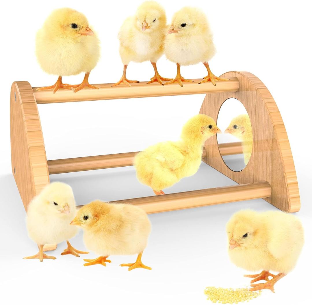 Mini Chick Perch with Mirror, Strong Bamboo Roosting Bar for coop and brooder, Training Perch for Baby Chicks, El Pollitos, La Pollita, Easy to Assemble and Clean, Fun Toys for Chick