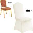 LZY 10pcs Spandex Chair Cover Stretch Slipcovers for Wedding Party, Dining Banquet Chair Decoration Covers (Ivory, 10)