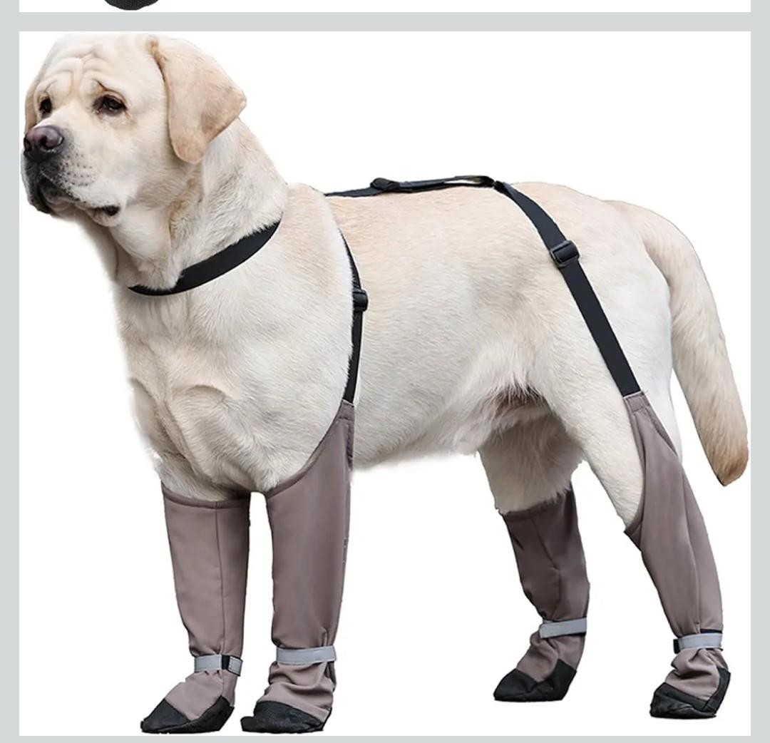 Waterproof Dog Shoes Anti-Slip Dog Shoes Reflective Boots & Paw Protectors with Adjustable Straps Booties for Hot Pavement, Hiking, Rainy and Snowy Days, XL Boots & Paw Protectors, XL