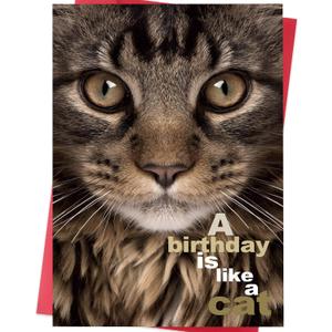 Funny Birthday Card for Cat Mom Cat Dad, Cat Lover Birthday Card Gift for Women and Men, Happy Birthday Card for Cat Lovers (SK-076)