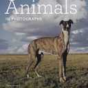 Animals in Photographs