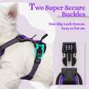 rabbitgoo Dog Harness No Pull with 2 Leash Clips, Adjustable Soft Padded, Reflective Oxford No Choke Pet Vest with Easy Control Handle for Puppy, Purple,XS