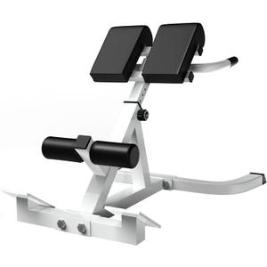 Roman Chair,Back Extension Bench,Multi Functional Ab Bench, Hyperextension Bench Abdominal Exercise, Leg Strength Trainer Home Men Women Full Body (Milk-White)