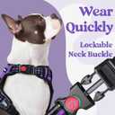rabbitgoo Dog Harness for Large, No Pull Pet Harness with 3 Buckles, Adjustable Soft Padded Vest with Control Handle, Walking Reflective Pet Vest for Dogs, Purple, Large