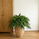 Nearly Natural 48in Artificial Boston Fern (Set of 2), Large Faux Greenery with 67 Lifelike Fronds for Indoor Wall, Shelf, and Home Office Decor