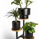 3-Tier Plant Stand  Indoor & Outdoor Wooden Corner Shelf for Plants, Flowers, and Dcor  Small Tiered Tabletop Rack for Desk or Patio