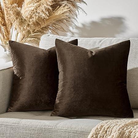 GIGIZAZA Brown Velvet Pillow Covers 16x16,Square Solid Throw Pillow Covers Decorative Modern Pillows Small Vintage Cases for Couch Pack of 2