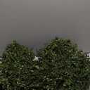 QIANYUN Boxwood Topiary Bush  Artificial Shrubs for Outdoors, Artificial Boxwood Topiary Ball Tree, UV Resistant Evergreen for Front Porch, Garden, Yard & Balcony Decor