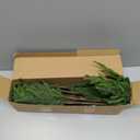 Wsorik 8Pcs 24 Inch Real Touch Norfolk Pine Stems, Artificial Green Plants Branches, Faux Greenery Pine Stem Fake Cedar Picks for Vase, Christmas Pine Branches for DIY Crafts Home Indoor Decor