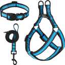 Mile High Life Night Reflective Double Adjustable Band Nylon Small Puppy Pet Dog Combo Collar Leash and Harness Set (Reflective Edge Blue, Large (Pack of 3))