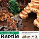 2PCS Reptile Carpet 20 Gallon, Pet Terrarium Liner, Reptiles Cage Mat/Substrate for Snakes, Chameleons, Geckos and Bearded Dragon Tank Accessories with Tweezers Feeding Tongs Desert(30*12in)