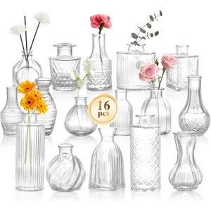 DomeStar 16PCS Glass Bud Vases Set, Small Clear Cylinder Vases for Plant Propagation Station Plant Terrarium, Vintage Clear Bud Vase in Bulk for Rustic Wedding Centerpieces Home Table Flower Decor