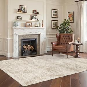 Cochyean Area Rugs 3x5 - Washable Rug for Living Room, Indoor Non-Slip Rug for Bedroom, Stain Resistant Abstract Area Rug, Super Soft Low Pile Rugs, Lightbrown