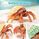 6PCS Hermit Crab Figurines Toys,Ocean Sea Animals Toys Figures, Realistic Soft Sea Creatures Toys for Kids Boys Girls,Birthday Gifts Cake Toppers Decoration for Toddlers Boys Girls