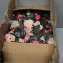 BLEUM CADE 16Pcs 131.2Ft Flower Garland Artificial Rose Vines for Bedroom, Cute Fake Hanging Flower Vines Floral Garland Decorations for Wedding Party Wall Room Decor Aesthetic (Pink)