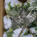 Peonies Artificial Flowers 12 Bundles Pink Flowers Bouquet, Lifelike Silk Fake Peonies with Stems for Home Table Centerpieces, Wedding, Party & DIY Bridal Floral Arrangements (Blue)