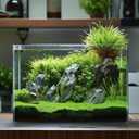 Vimvins 5 Gallon Glass Fish Tank, Easy to Maintain Small Aquarium for Betta/Goldfish/Snails/Shrimp and Aquatic Planting.