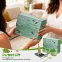 Japanese Style Ceramic Matcha Set - 9 Pcs Kit with 530ml Bowl, 2 Gold-Inlaid Cups, Bamboo Whisk/Scoop, Stainless Steel Sifter & Landscape Painting Towel - Gift for Tea Lovers (Green)