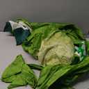 Disguise Women's Rex Inflatable Adult Costume (Green)