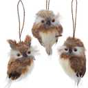 Kurt Adler - Brown Hanging Owl Ornaments, 3 Assorted