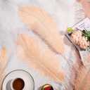 Maitys 90 Pcs Large Natural Ostrich Feathers Bulk 14-16 Inch (35-40cm) 12-14 Inch (30-35cm) 10-12 (25-30cm) Ostrich Feathers Plumes for Centerpieces Wedding (Champagne)