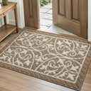 DEXI Front Door Mat Indoor Entryway, Inside Welcome Entrance Doormat Low Profile Thin, Non Slip Washable Entry Mats for House Floor Dirt Trapper, 32x48, Brown