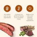 Nutrish Soup Bones Minis Premium Dog Chews with Real Beef and Barley, 6.3 oz Pouch, Pack of 7 (Rachael Ray)