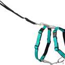 PetSafe 3-in-1 Harness - Comfortable Easy-Walk Dog Chest Harness with Front Leash Attachment to Reduce Pulling, Choking & Gagging - Dog Obedience Gear - Medium - Teal