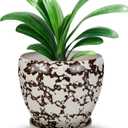 Ceramic Plant Pots With Saucer & Drainage, 8 inch Indoor Flower Pots