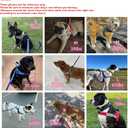 Annchwool No Pull Dog Harness with Soft Padded Handle,Reflective Strip Escape Proof and Quick Fit to Adjust Dog Harness,Easy for Training Walking for Small & Medium and Large Dog(Black, Large)