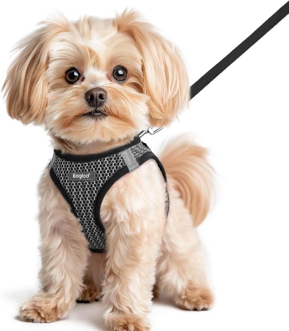 Eagloo Small Dog Harness and Leash Set, Step in Puppy Vest with Breathable Soft Mesh, Walking Reflective Pet Harness for Small Dogs, Gray, XS (XS(Chest:13.3"-15.5"))
