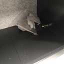 Bonsaii Safe Box with Electronic Keypad, Steel Security Lock Box with Key, 0.23 Cubic Feet, 9.06" W x 6.69" D x 6.69" H, Small Hidden Safe for Cash Jewelry