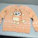 Bluey Christmas Matching Family Sweater Toddler to Adult Sizes (2T - 2XL)