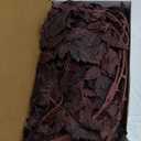 Lyrow 6 Pack Artificial Cimicifuga Plant Leaf Spray Faux Plum Cimicifuga Ramosa Leaf Branch Faux Fall Spray Silk Plants for Home Vase Wedding Garden Farmhouse Table Mantel Decor (18 Inches)