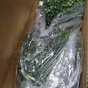 Nearly Natural 36 in Artificial Triple Ball Boxwood Topiary Tree with Pot