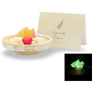 Ceramic Ring Dish with Glow-in-the-Dark Coral, Jewelry Dish Tray for Ring, Earrings, Necklaces, Coral Jewelry Plate Organizer with Greeting Card, Decorative Trinket Dish for Bedroom, Vanity, Bathroom