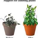 3-Pack 14 Inch Small Trellis for Potted Plants, Metal Plant Trellis for Plants Indoor - Garden Trellis for Houseplants, Plant Support for Ivy, Pothos, Monstera, Hoya, Vines (Black, 14inch/3 Pack)